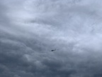 IMG 3106