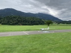 IMG 3111