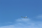 img 7466