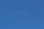 img 7461