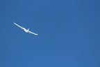 img 7458