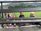 IMG 7775