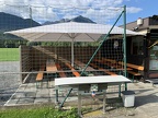 IMG 2276